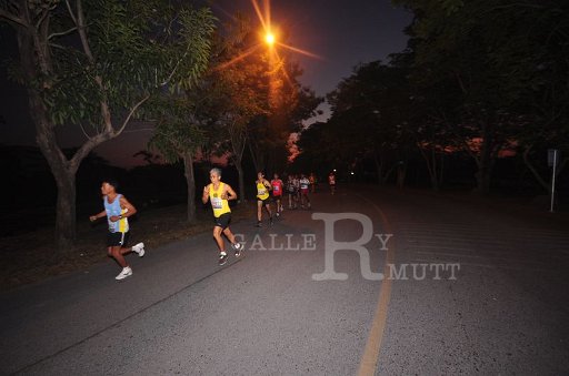 DSC_0117 - Copy (2).JPG